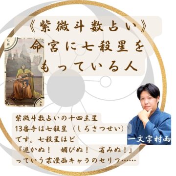 東洋占術シリーズ５ 紫微斗数占星術 命盤 推命占断 柔らか